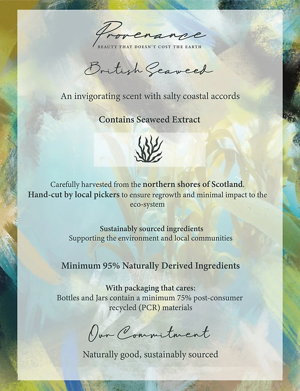 Provenance Body Moisturisers & Butters British Seaweed Body Butter 250ml 3 Provenance Body Moisturisers & Butters British Seaweed Body Butter 250ml - Image 3