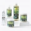 Provenance Bath & Shower Gel British Seaweed Body Scrub 300ml 11 Provenance Bath & Shower Gel British Seaweed Body Scrub 300ml -Summer Beauty sale SD 07 T22 2287B NC X EC 4