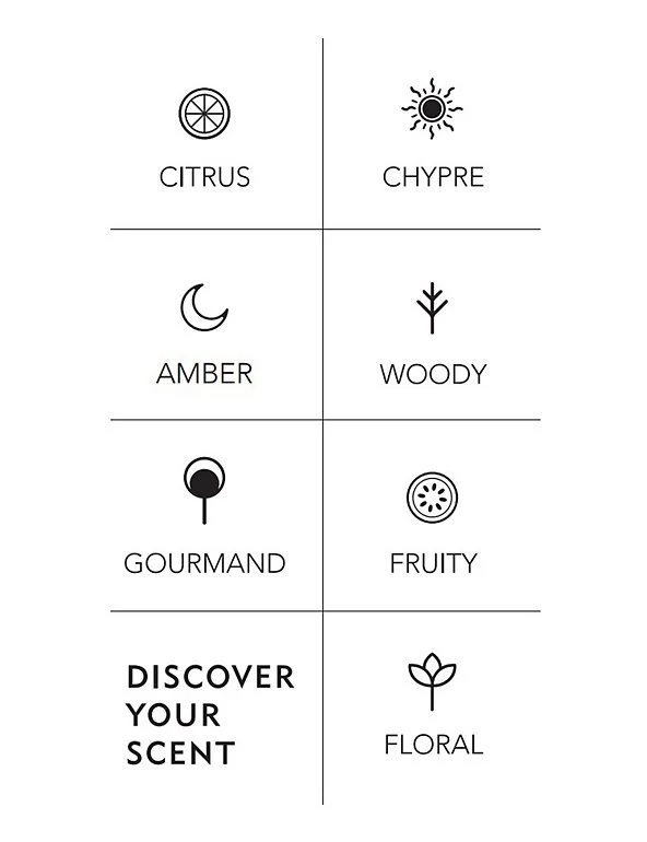 Discover Citrus Fragrance Water Jasmine Eau De Toilette 30ml 7 Discover Citrus Fragrance Water Jasmine Eau De Toilette 30ml - Image 7